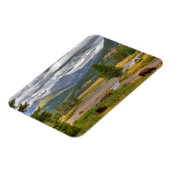 Yellowstone Bison Magneet (Linkerzijde)