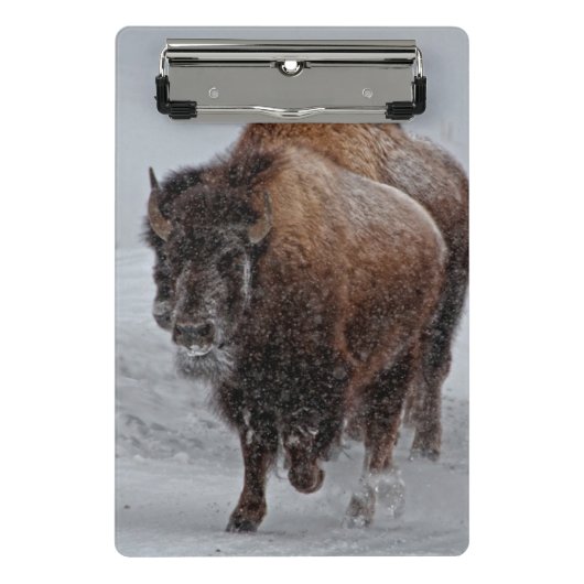 Yellowstone Bison Mini Klembord (Voorkant)
