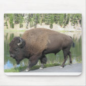 Yellowstone Bison Muismat (Voorkant)