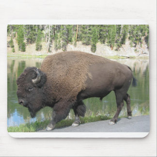 Yellowstone Bison Muismat