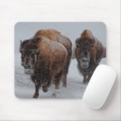Yellowstone Bison Muismat (Met muis)