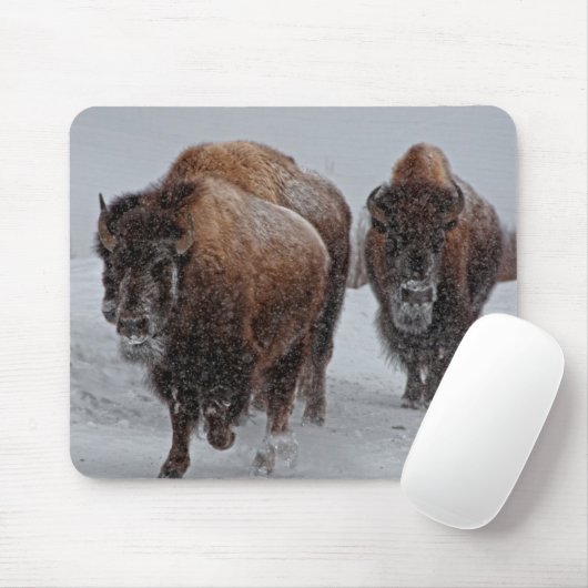Yellowstone Bison Muismat (Met muis)