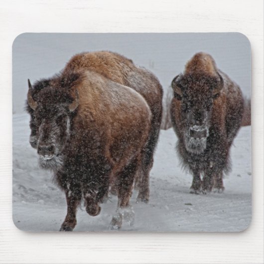 Yellowstone Bison Muismat (Voorkant)