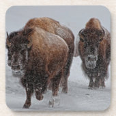 Yellowstone Bison Onderzetter (Voorkant)