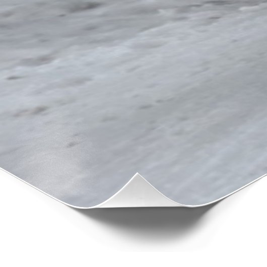 Yellowstone Bison Poster (Hoek)