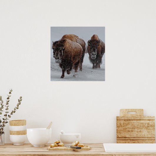 Yellowstone Bison Poster (Keuken)