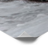 Yellowstone Bison Poster (Hoek)