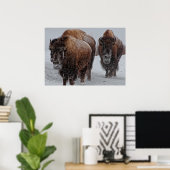 Yellowstone Bison Poster (Thuiskantoor)