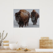 Yellowstone Bison Poster (Keuken)
