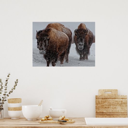 Yellowstone Bison Poster (Keuken)