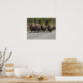 Yellowstone Bison Poster (Keuken)