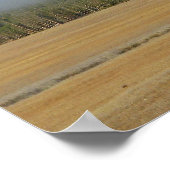 Yellowstone Bison Poster (Hoek)