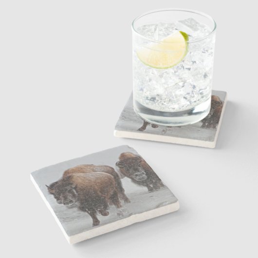 Yellowstone Bison Stenen Onderzetter (Zijkant)