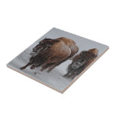 Yellowstone Bison Tegeltje (Zijkant)