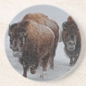 Yellowstone Bison Zandsteen Onderzetter (Voorkant)