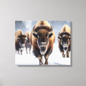 Yellowstone Bizon Canvas Kunst (Voorkant)