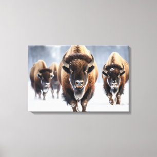 Yellowstone Bizon Canvas Kunst