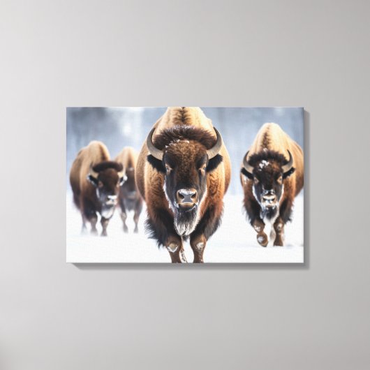 Yellowstone Bizon Canvas Kunst (Voorkant)