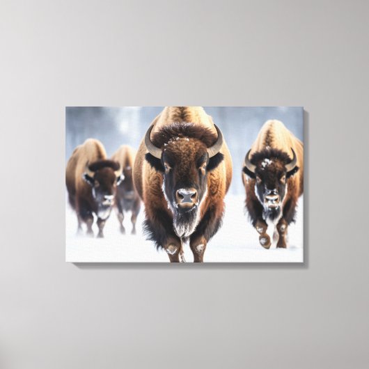 Yellowstone Bizon Canvas Kunst (Voorkant)