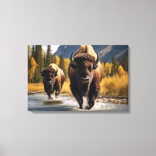 Yellowstone Bizon Canvas Kunst (Voorkant)