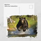 Yellowstone Black Beer Briefkaart (Voorkant / Achterkant)