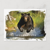 Yellowstone Black Beer Briefkaart (Voorkant)