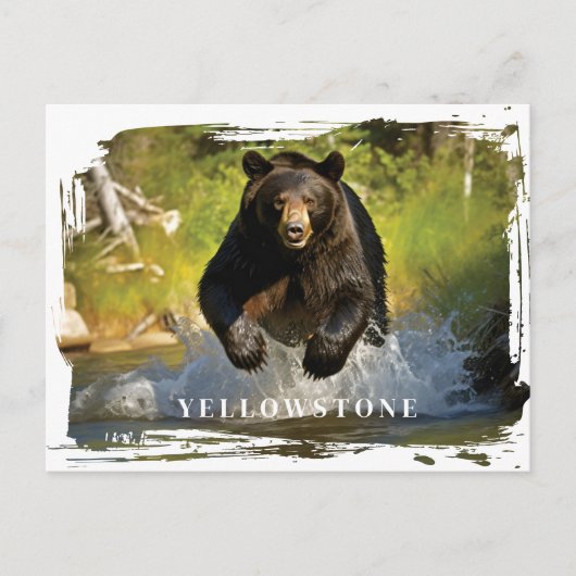 Yellowstone Black Beer Briefkaart (Voorkant)
