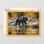 Yellowstone Black Beer Briefkaart (Voorkant / Achterkant)