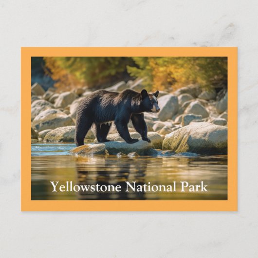 Yellowstone Black Beer Briefkaart (Voorkant)