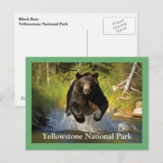 Yellowstone Black Beer Briefkaart (Voorkant / Achterkant)