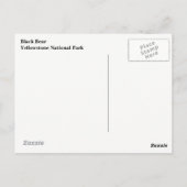 Yellowstone Black Beer Briefkaart (Achterkant)