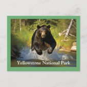 Yellowstone Black Beer Briefkaart (Voorkant)