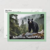 Yellowstone Black Beer Briefkaart (Voorkant / Achterkant)