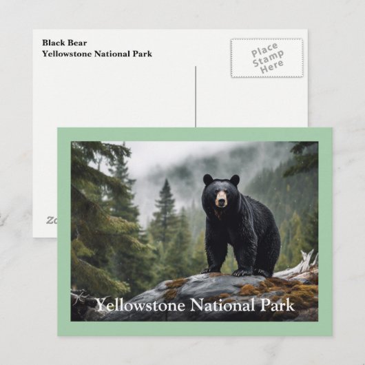 Yellowstone Black Beer Briefkaart (Voorkant / Achterkant)