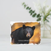 Yellowstone Black Beer Briefkaart (Staand voorkant)