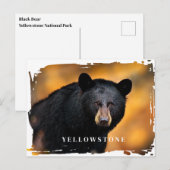 Yellowstone Black Beer Briefkaart (Voorkant / Achterkant)