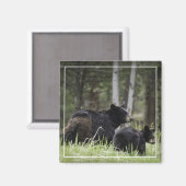 Yellowstone Black Beer Magnet (Voorkant / Achterkant)