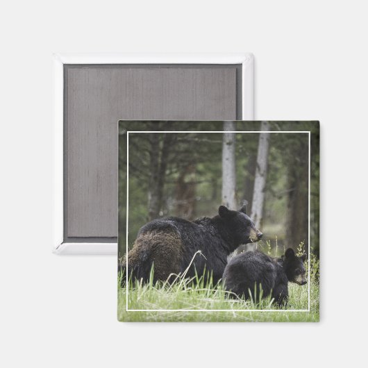 Yellowstone Black Beer Magnet (Voorkant / Achterkant)