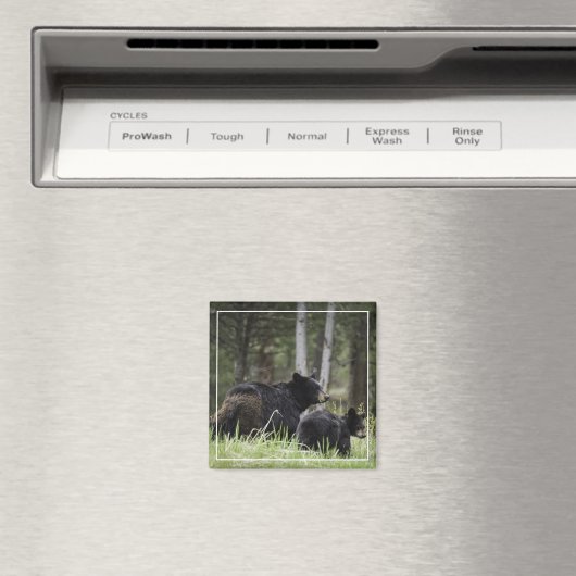 Yellowstone Black Beer Magnet (Insitu (Vaatwasser))