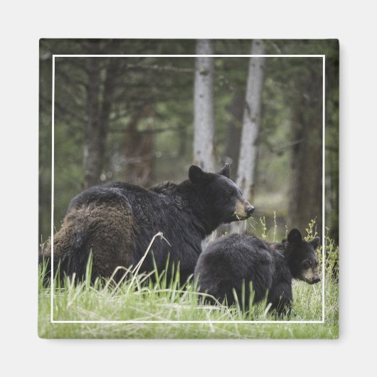 Yellowstone Black Beer Magnet (Voorkant)