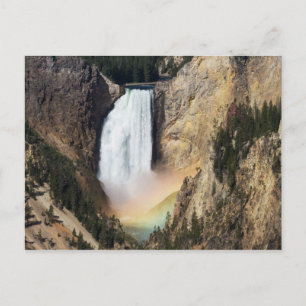 Yellowstone - briefkaart van Herfsten van laaggeel