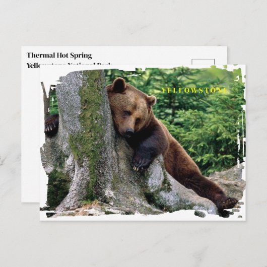 Yellowstone Brown Beer Briefkaart (Voorkant / Achterkant)