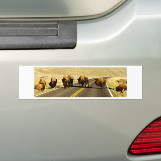 Yellowstone Buffalo Gear Bumpersticker (Op auto)