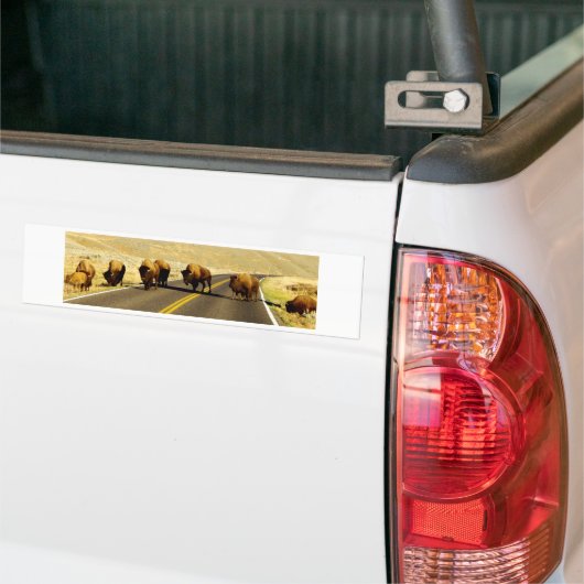 Yellowstone Buffalo Gear Bumpersticker (Op Truck)