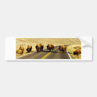 Yellowstone Buffalo Gear Bumpersticker