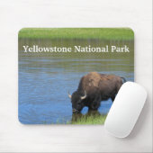 Yellowstone Buffalo in Pond Muismat (Met muis)