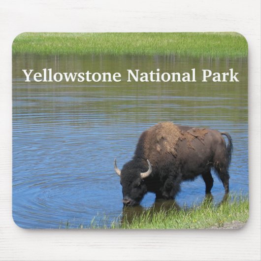 Yellowstone Buffalo in Pond Muismat (Voorkant)