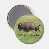 Yellowstone Buffalo Magnet (Voorkant / Achterkant)