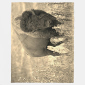 Yellowstone Buffalo Natuur Scene Fleece Deken (Voorkant)