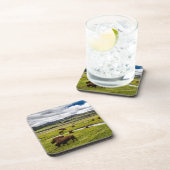 Yellowstone Buffalo Onderzetter set (Rechterzijde)